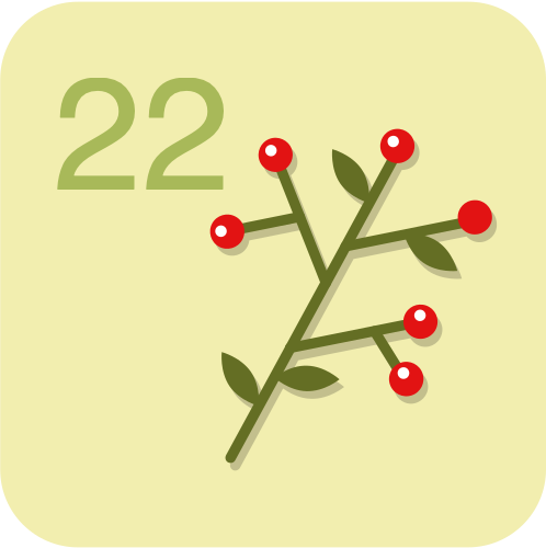 door-22. Dezember